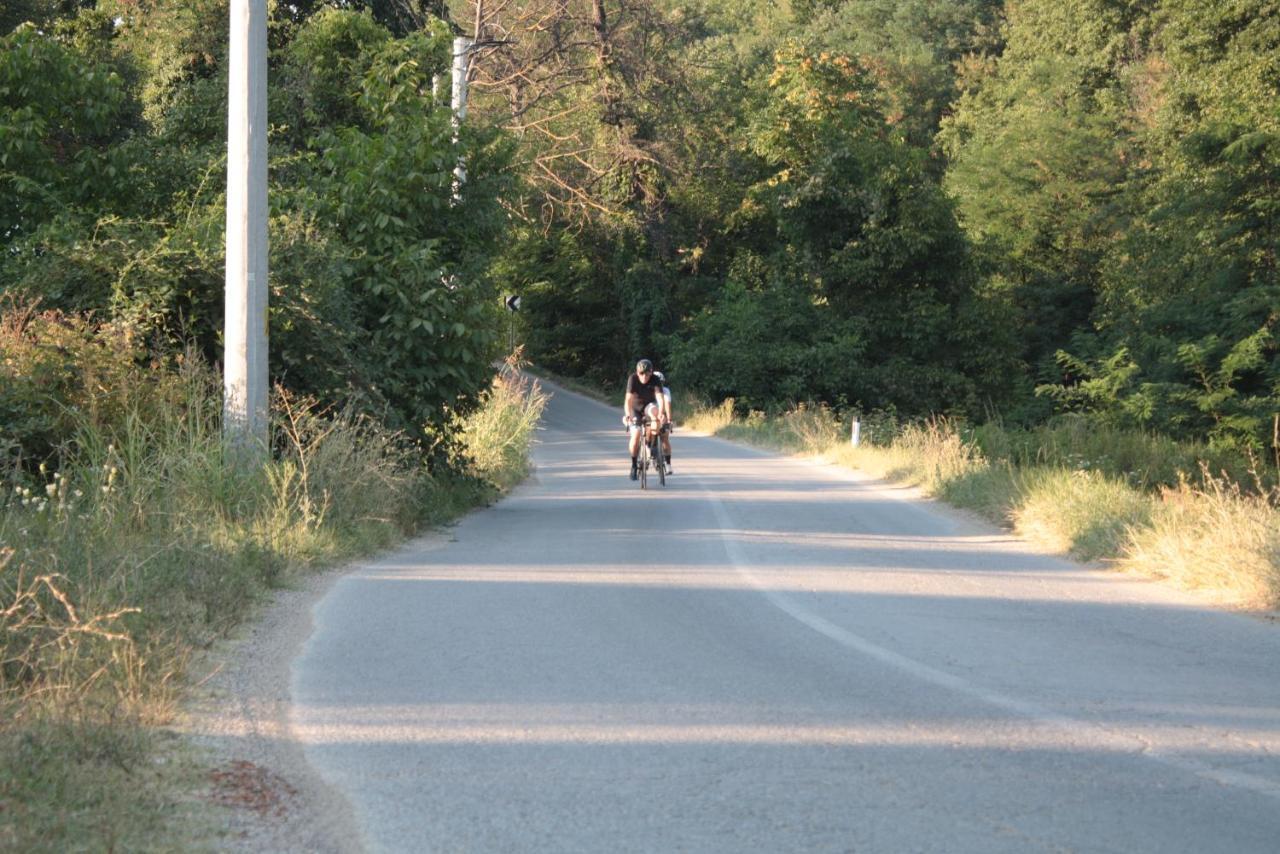 Guesthouse Silvani Kruševac エクステリア 写真