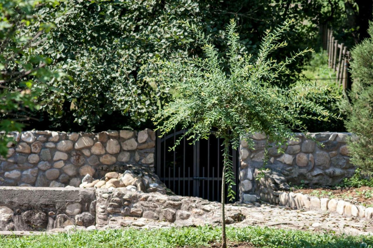 Guesthouse Silvani Kruševac エクステリア 写真